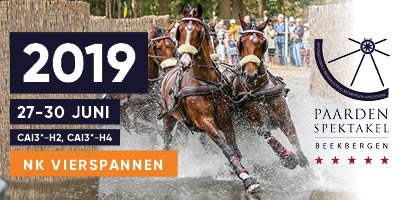 RIANT19-400x200px