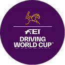 FEI WC ICON