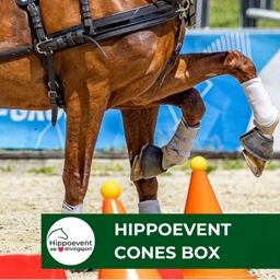 Hippoevent Cones Box