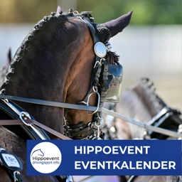 Hippoevent Drivingsport.info