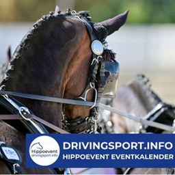 drivingsport.info by Hippoevent