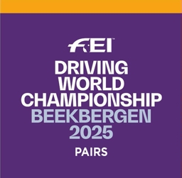 FEI logo WCH H2 web