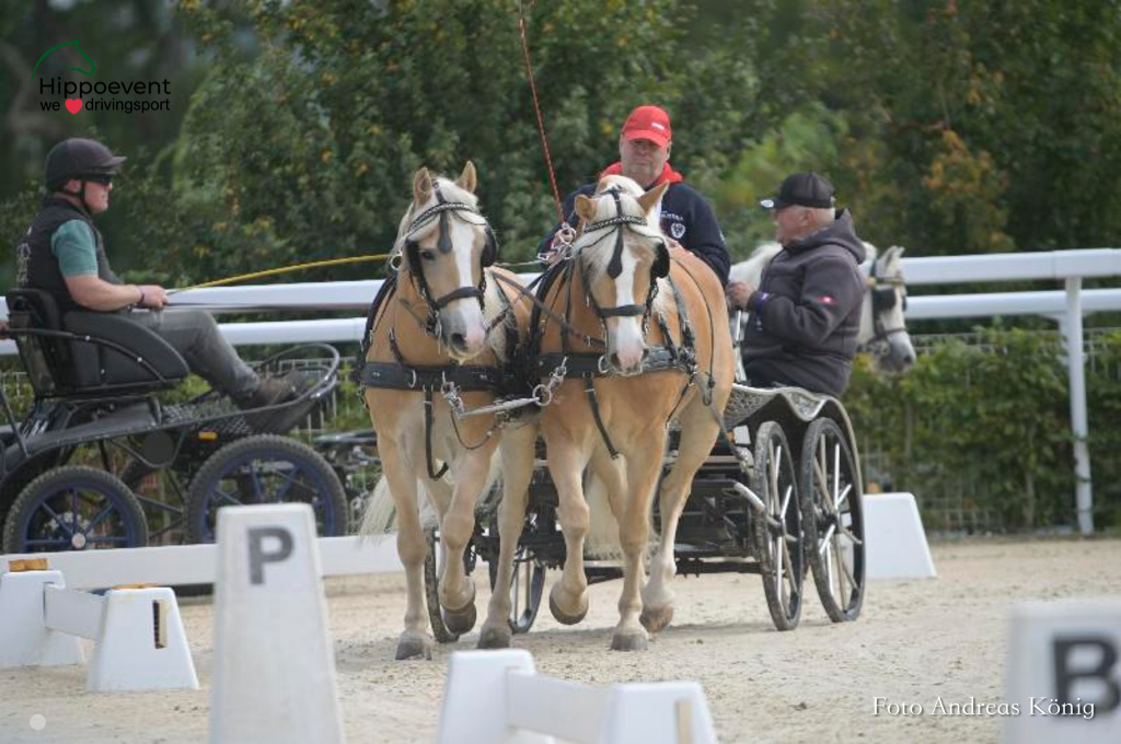 WM Pony - Le Pin FRA 25 - Tag 1 00027