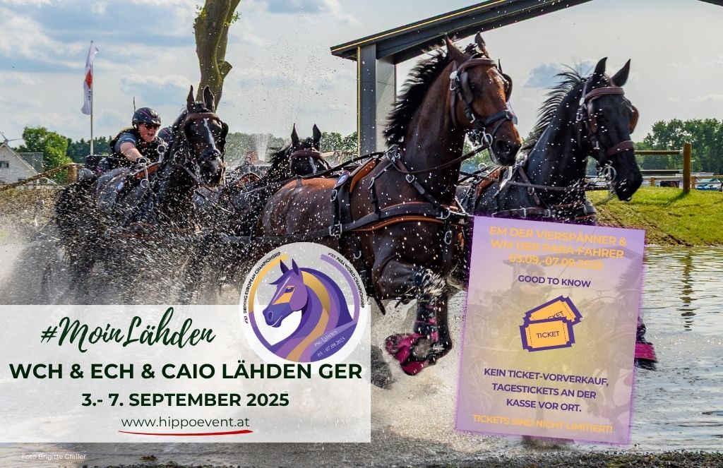Header-FB-Lahden-GER-2025