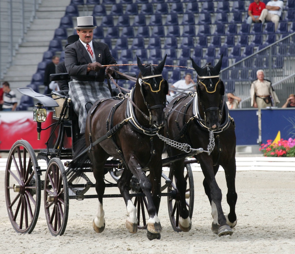 Dressage Georg Moser Sbg