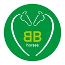 bbhorses web small