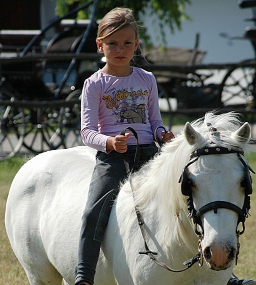 GretaPony
