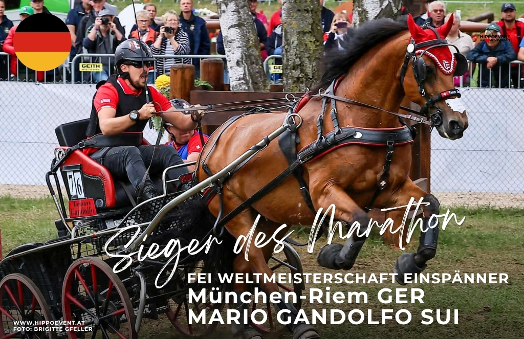 SIEGER B